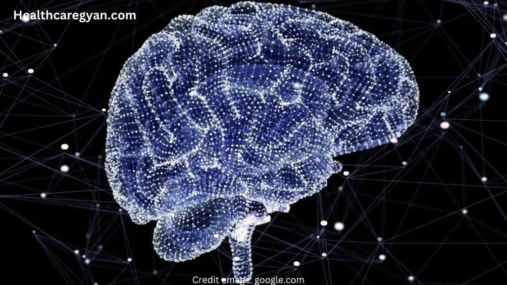 The Significance of Brain Connectivity in Cognitive Function