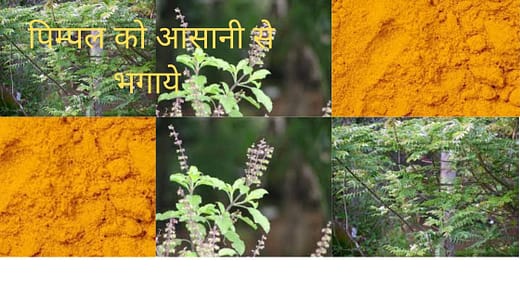 निम्ब,तुलसी ,हल्दी